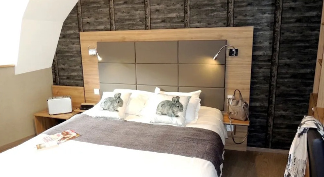 Номер Comfort Logis Hôtel-restaurant Les Coudercous