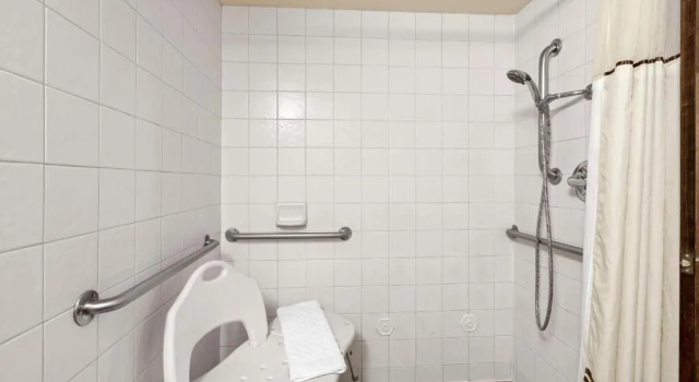Номер Standard Best Western Plus Tree House