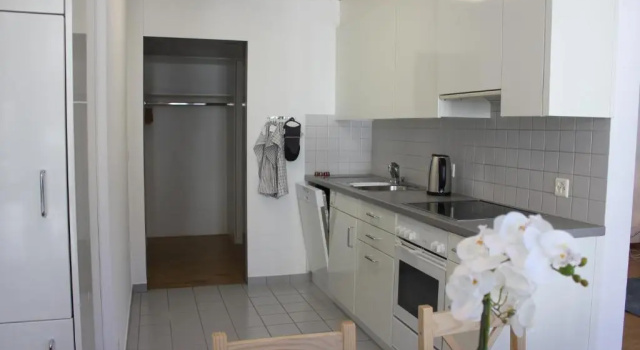 Апартаменты с 2 комнатами Herisau Apartments