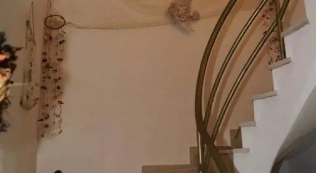 Elenas Apartments, Rezervați Apartament Plataria 