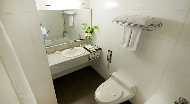 Двухместный номер Standard Hotel Prima Seoul