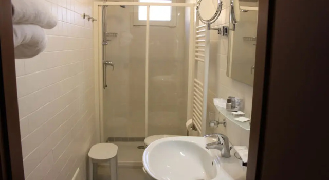 Одноместный номер Standard Hotel Rosa