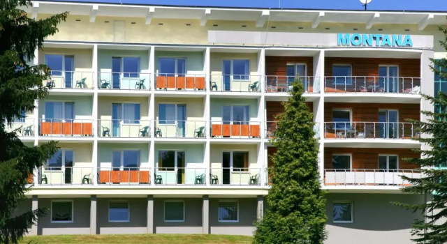 Двухместный номер Standard с балконом Horský hotel Montana