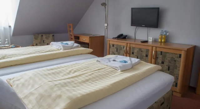 Двухместный номер Standard Hotel u Crlíků