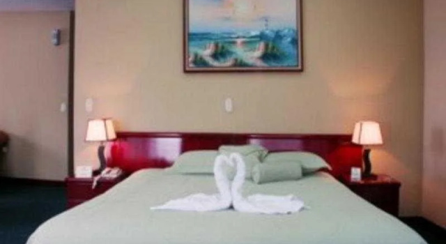 Hotel Royal Dutch, Book Hotel San Jose De La Montana 