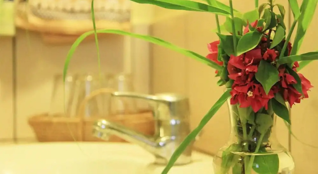 Бунгало Hotel Solidaire Mangily