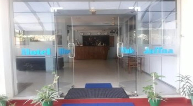 Hotel Blue Whale