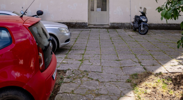Apartment Promenada