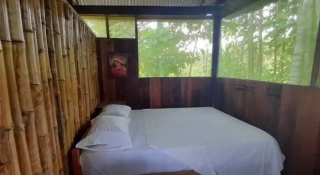 Номер Standard Centro espiritual luz del amazonas