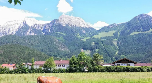 Апартаменты Ferienwohnung Höfler