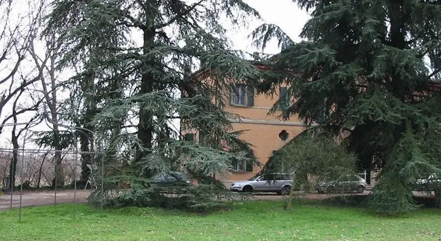 Bed & Breakfast Camomilla, Забронировать Мини-отель Мини-отели Провинции Болоньи, Мини-отель