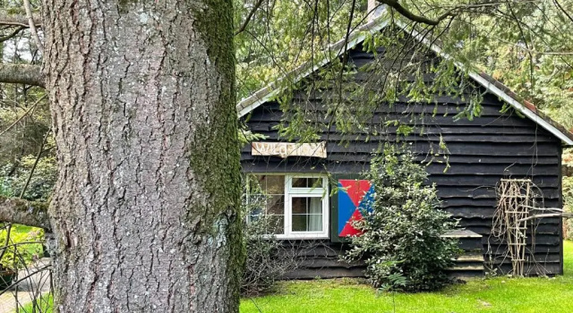 Коттедж с 3 комнатами Landgoed Dennenholt - 5 unique holiday homes
