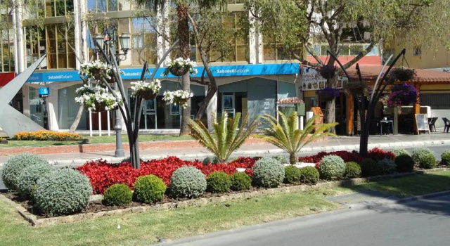Студия Apartamento Rulosol 1