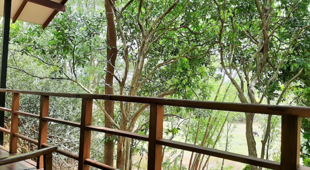 Номер Deluxe Elephant Lodge