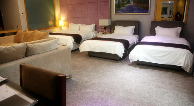 Номер Deluxe Meritz Hotel