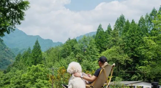Qingcheng Mountain Yunxi Shangtang Villa, Забронировать Вилла Чэнду Сычуань
