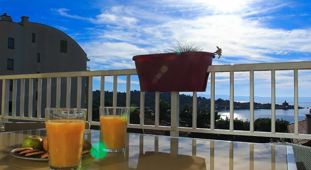 Apartment Letica