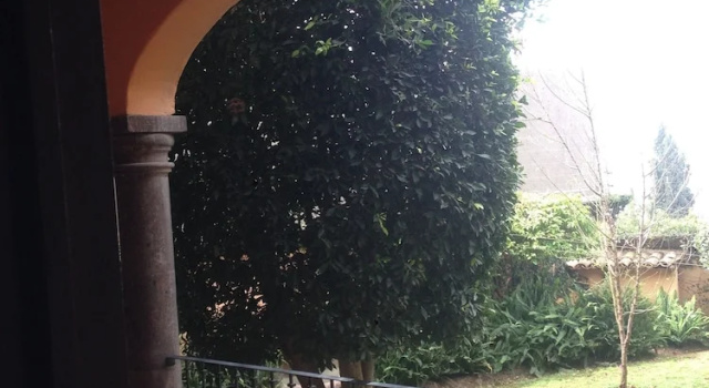 Двухместный номер Classic c 1 комнатой с видом на внутренний двор Casa San Miguel el Grande