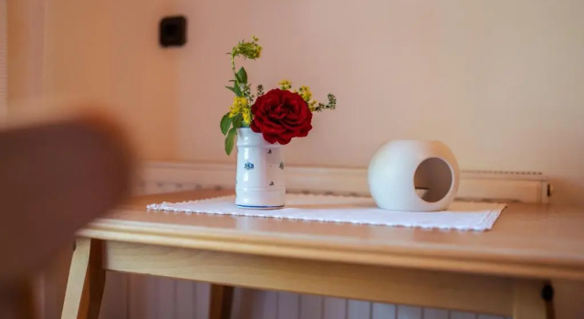 Апартаменты Apartment Mitterdorfer