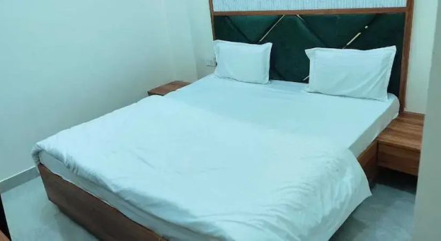 Номер Deluxe Deep Palace Inn