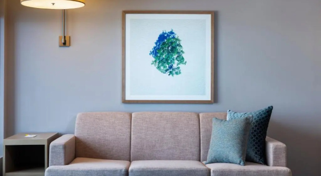 Двухместный номер (Plus Sofa Bed) Hyatt Place Aruba Airport