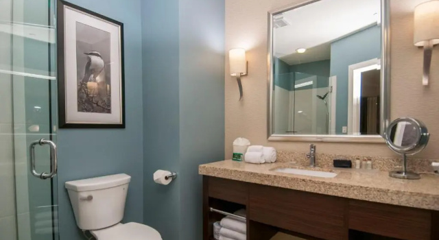 Двухместный номер Executive Hotel Indigo Waco by IHG