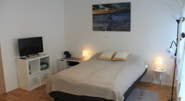 Studio Apartment Mali Ty