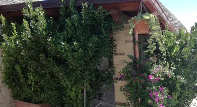 Коттедж с 2 комнатами Residenza Di Nonna Giulia