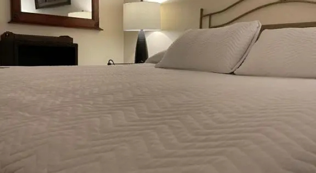 Номер Standard Boutique Hotel Belgica