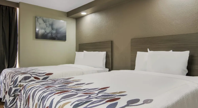Четырёхместный номер Standard Red Roof Inn & Conference Center Chicago - N Aurora/ Naperville