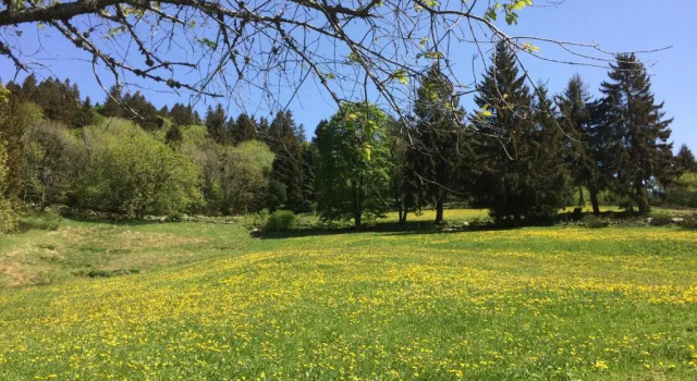Номер Standard La Ferme de Jean entre lacs et montagnes
