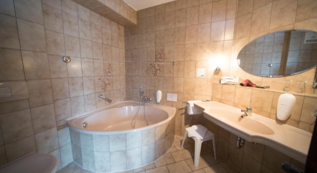Двухместный номер Standard Reichels Parkhotel