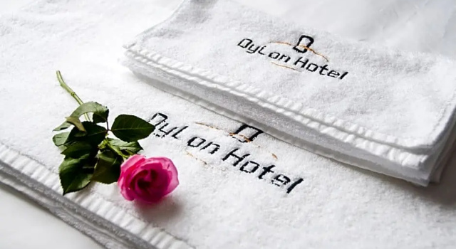 Двухместный номер Deluxe Dylan Hotel Danang