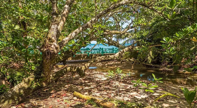 Kelly Creek Hotel