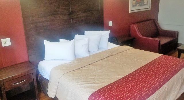 Red Roof Inn & Suites Houston - Hobby Airport, Book Hotel Houston hoteller med pool, Swimmingpool