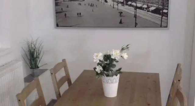 Студия Alles Paletti