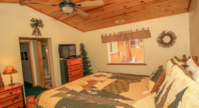 Yogi Bear's Den