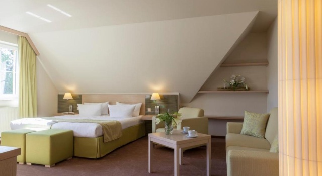 Двухместный номер Standard Logis Hôtel Kur- und Wellnesshaus Spree Balance