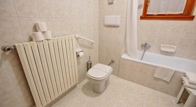 Двухместный номер Standard Hotel Des Alpes