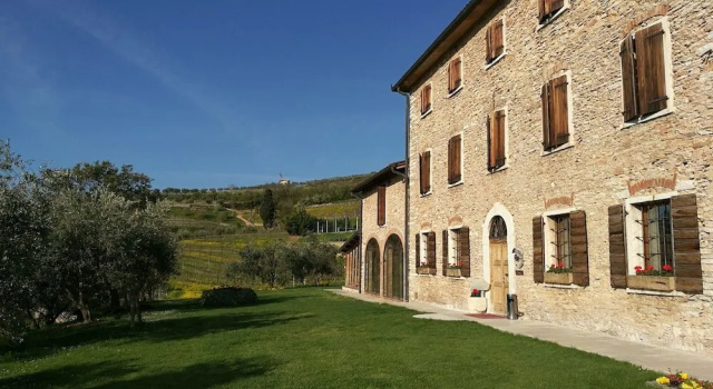 Costa degli Ulivi