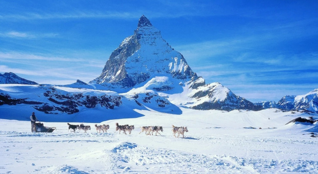 Апартаменты Glacier Views & Ski Trails
