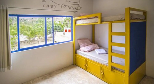Todos Santos Hostel super fast and stable satellite wifi, Забронировать Хостел Тодос-Сантос Южная Нижняя Калифорния