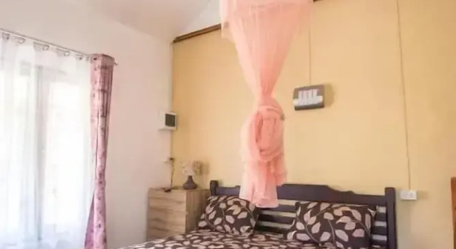 컴포트 방갈로 Bananas Bungalows