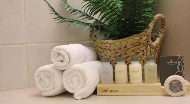 Трёхместный номер Deluxe Swan Hill Resort