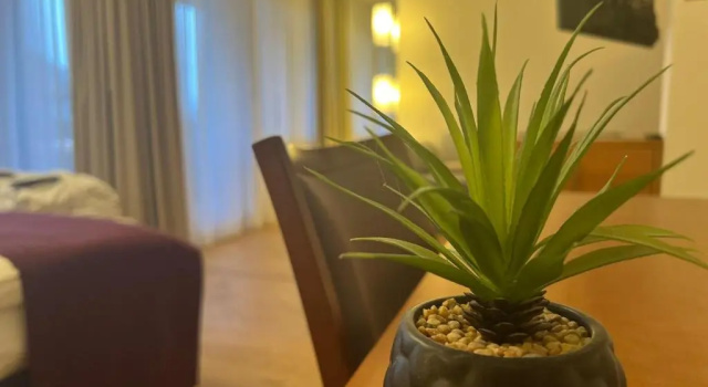 Полулюкс с видом на горы Solbadhotel Sigriswil