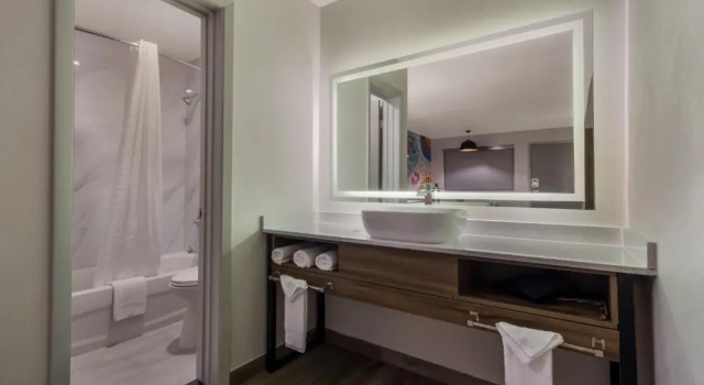 Люкс Signature Inn Houston Galleria