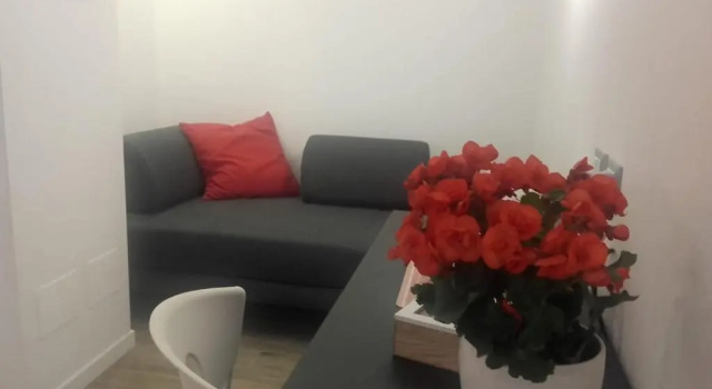 Номер Standard Travel House
