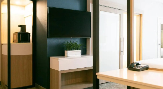Двухместный люкс SpringHill Suites by Marriott South Bend Notre Dame Area