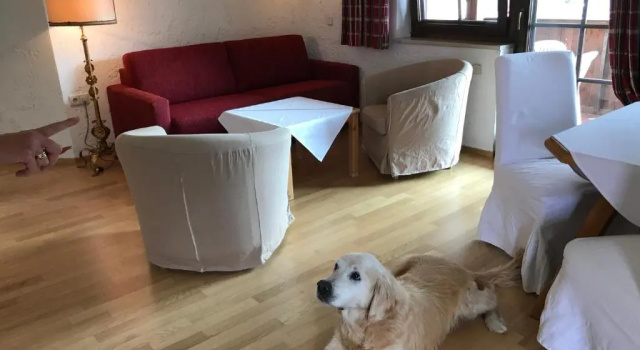 Апартаменты Apartments Kostolnik