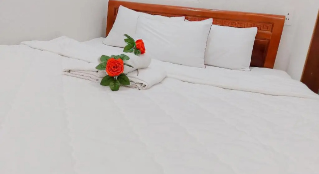 Двухместный номер Standard Thien Y Hotel Vung Tau